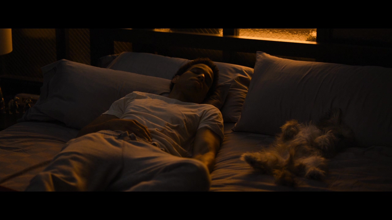 昨夜风流剧照的剧照