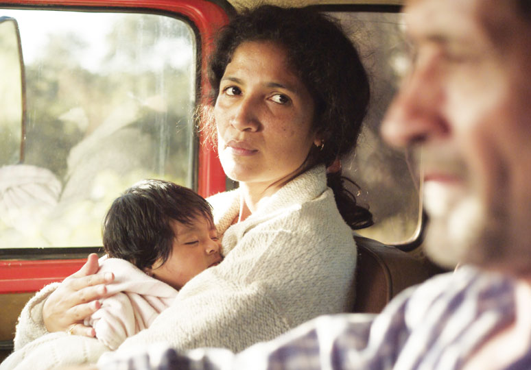 相思树剧照的剧照