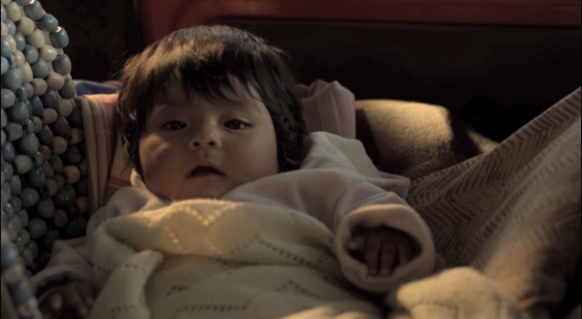 相思树剧照的剧照