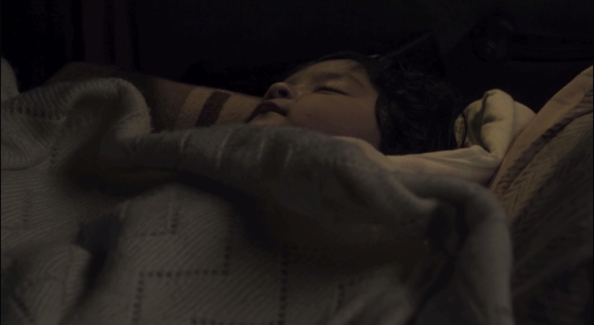 相思树剧照的剧照