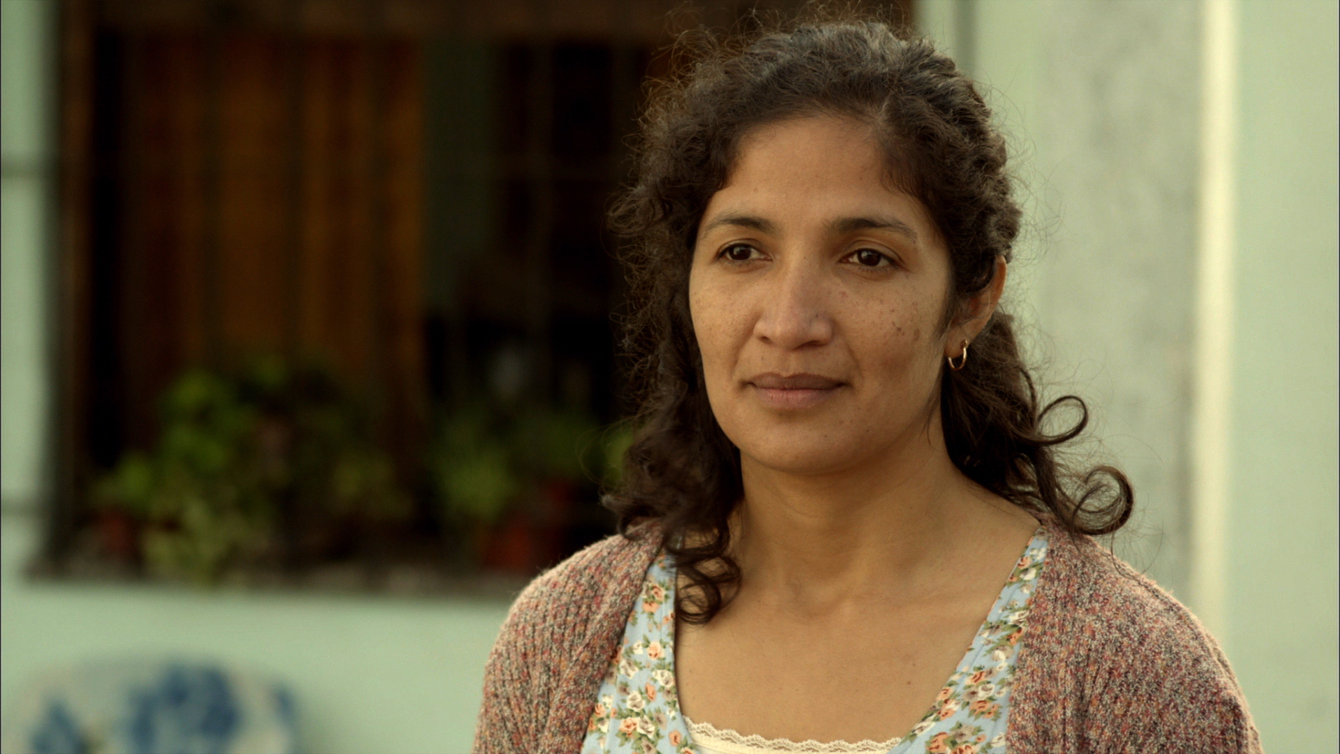 相思树剧照的剧照