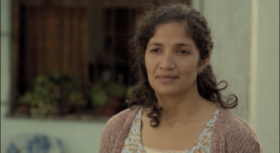 相思树剧照的剧照