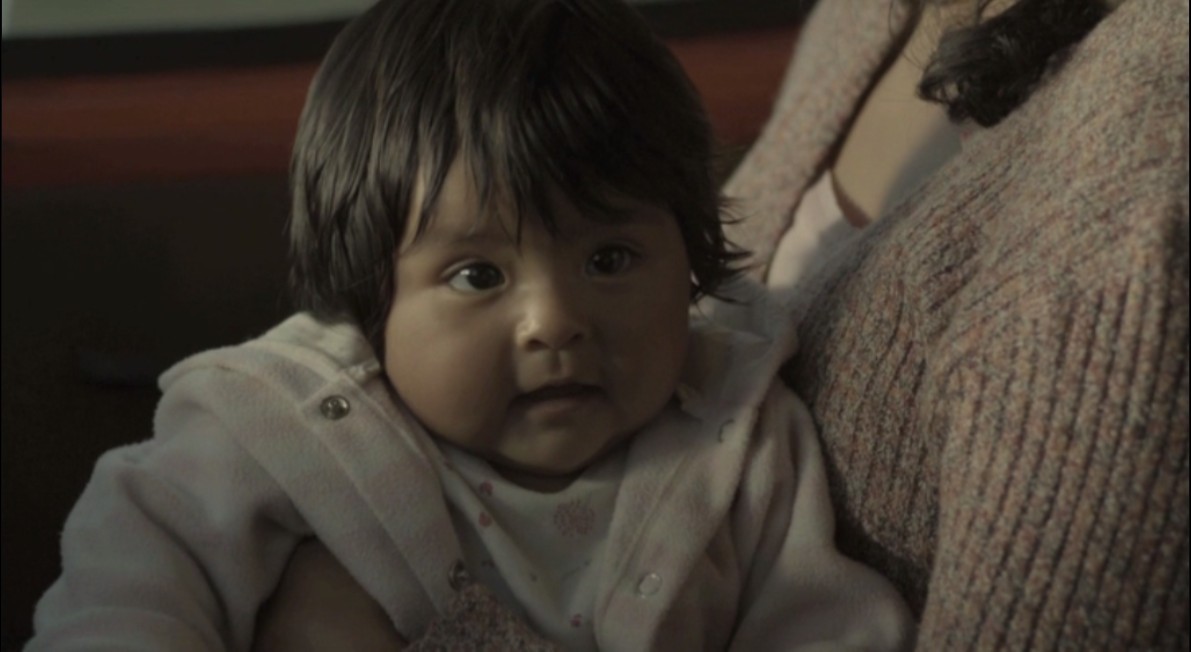 相思树剧照的剧照