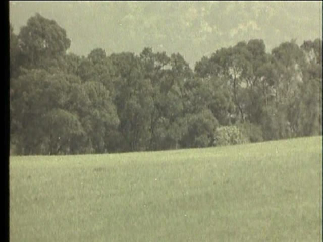 温暖在秋天剧照的剧照