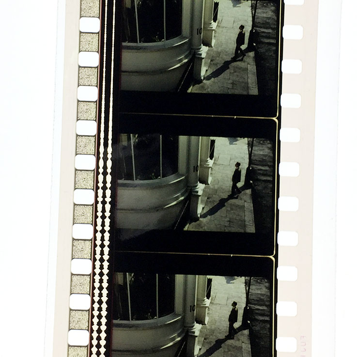 鸽之翼剧照的剧照