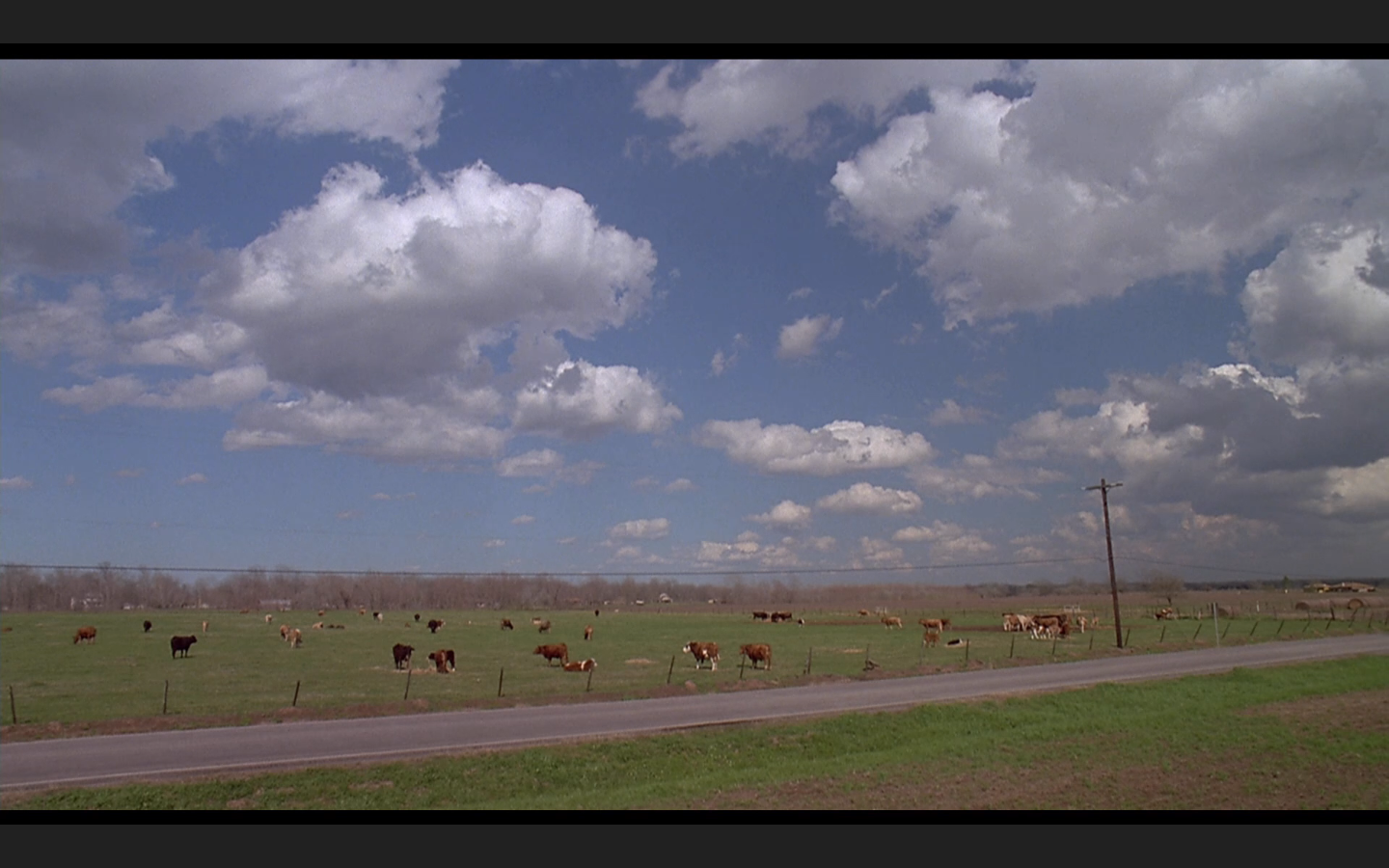 毒海情迷剧照的剧照