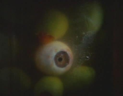 变态杀人魔剧照的剧照