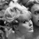 粉红豹系列：黑夜怪枪剧照