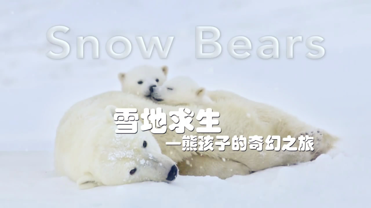 雪地求生：熊孩子的奇幻之旅剧照的剧照