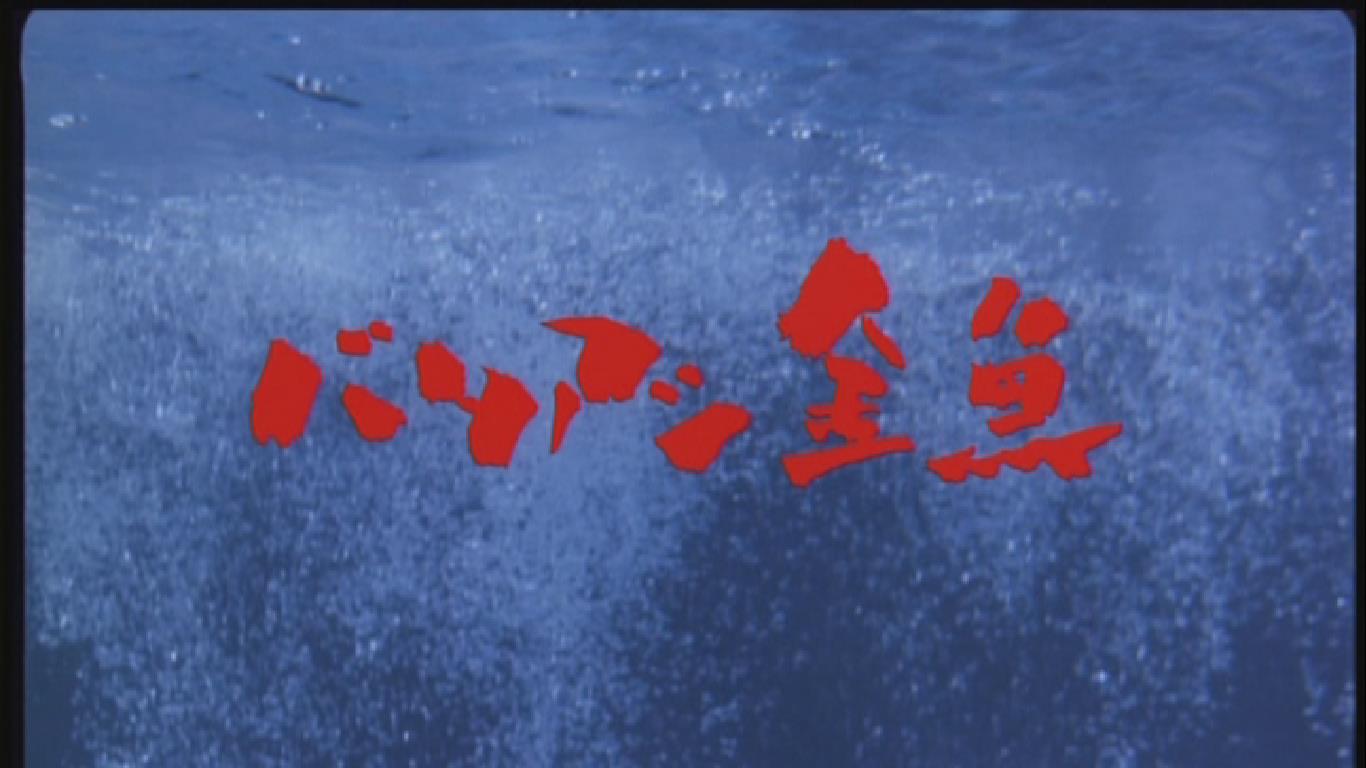 笨金鱼剧照的剧照