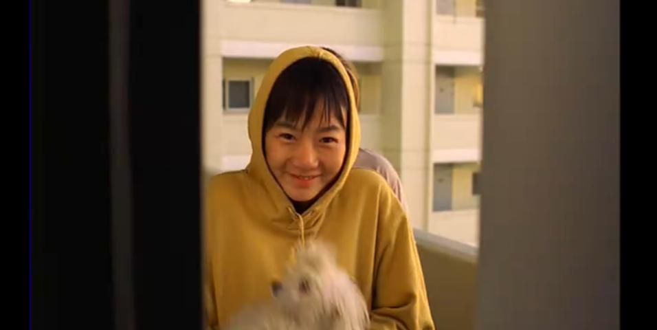 绑架门口狗剧照的剧照