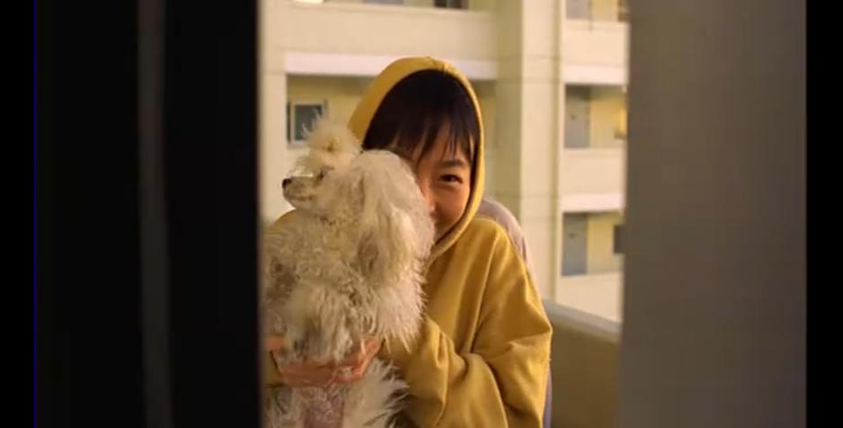 绑架门口狗剧照的剧照