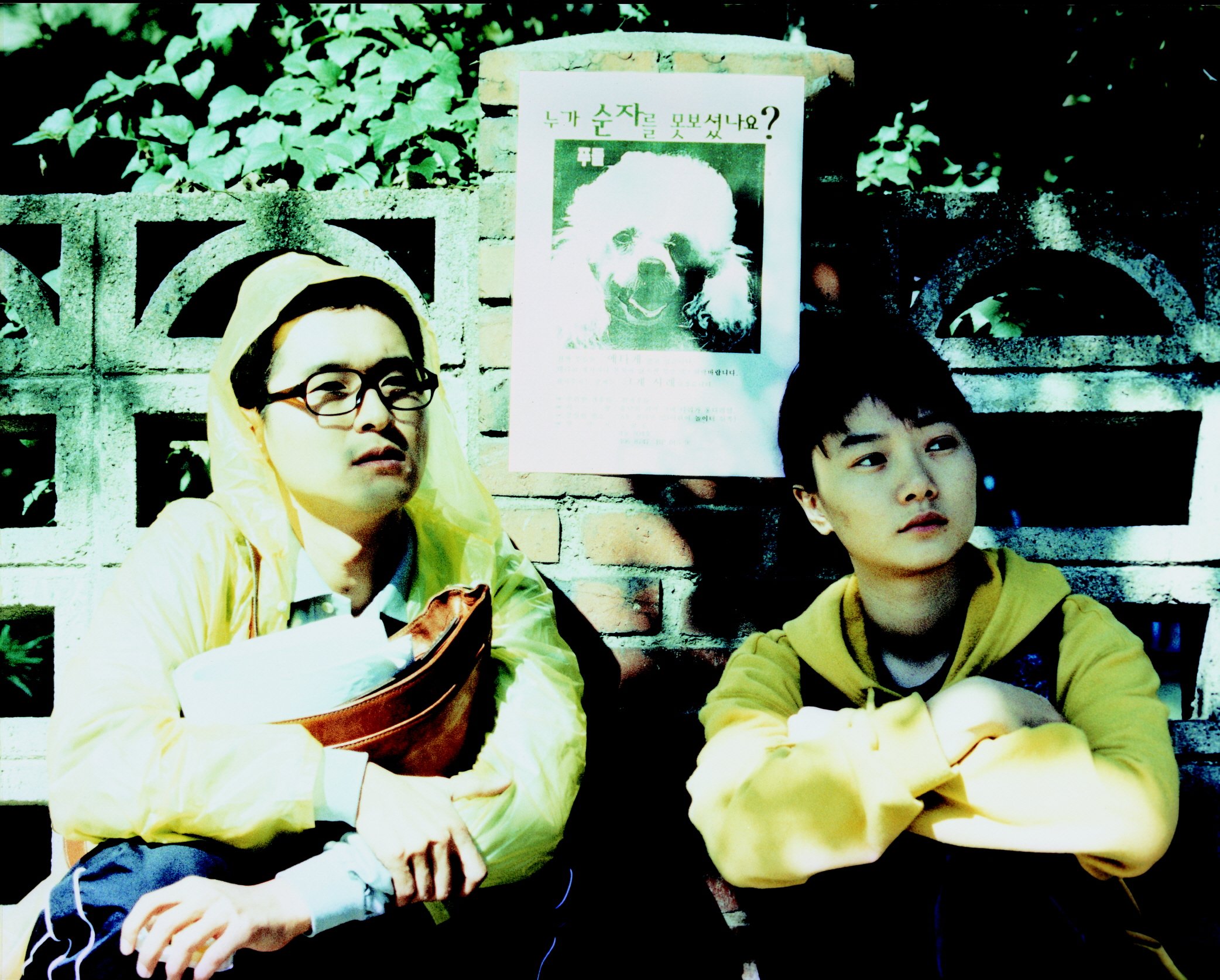 绑架门口狗剧照的剧照