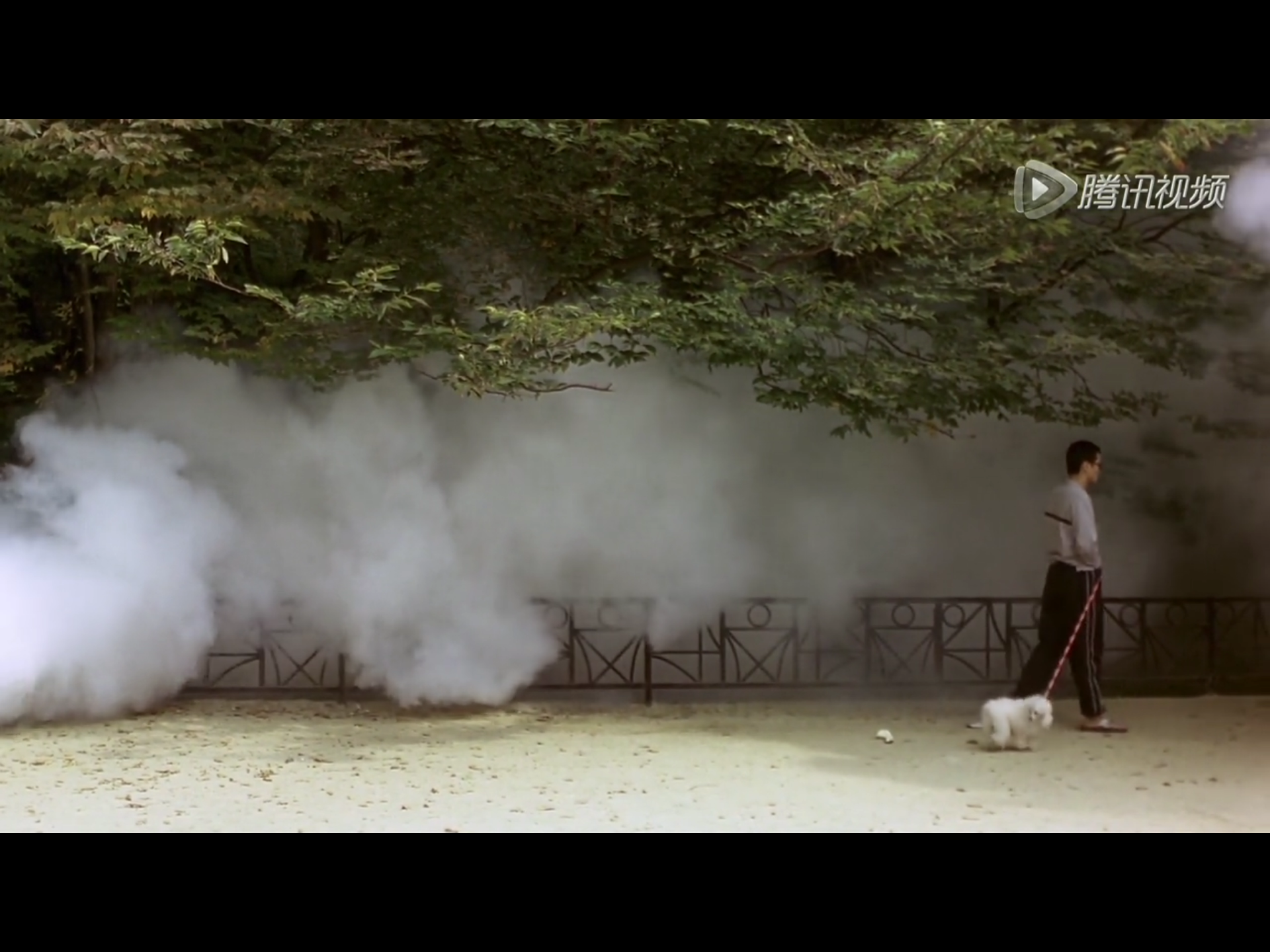 绑架门口狗剧照的剧照