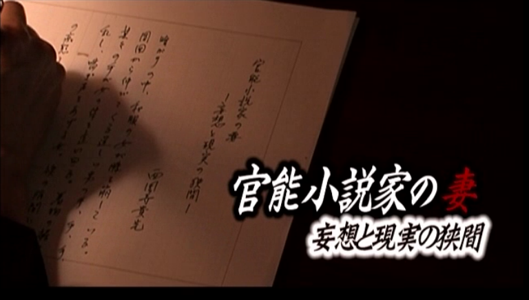 官能小説家の妻 妄想と現実の狭間剧照的剧照