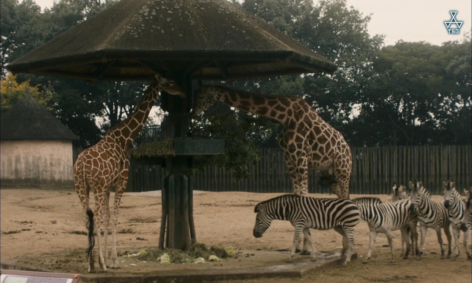 侧颜剧照的剧照