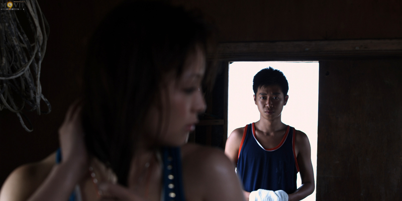 我是一条鱼剧照的剧照