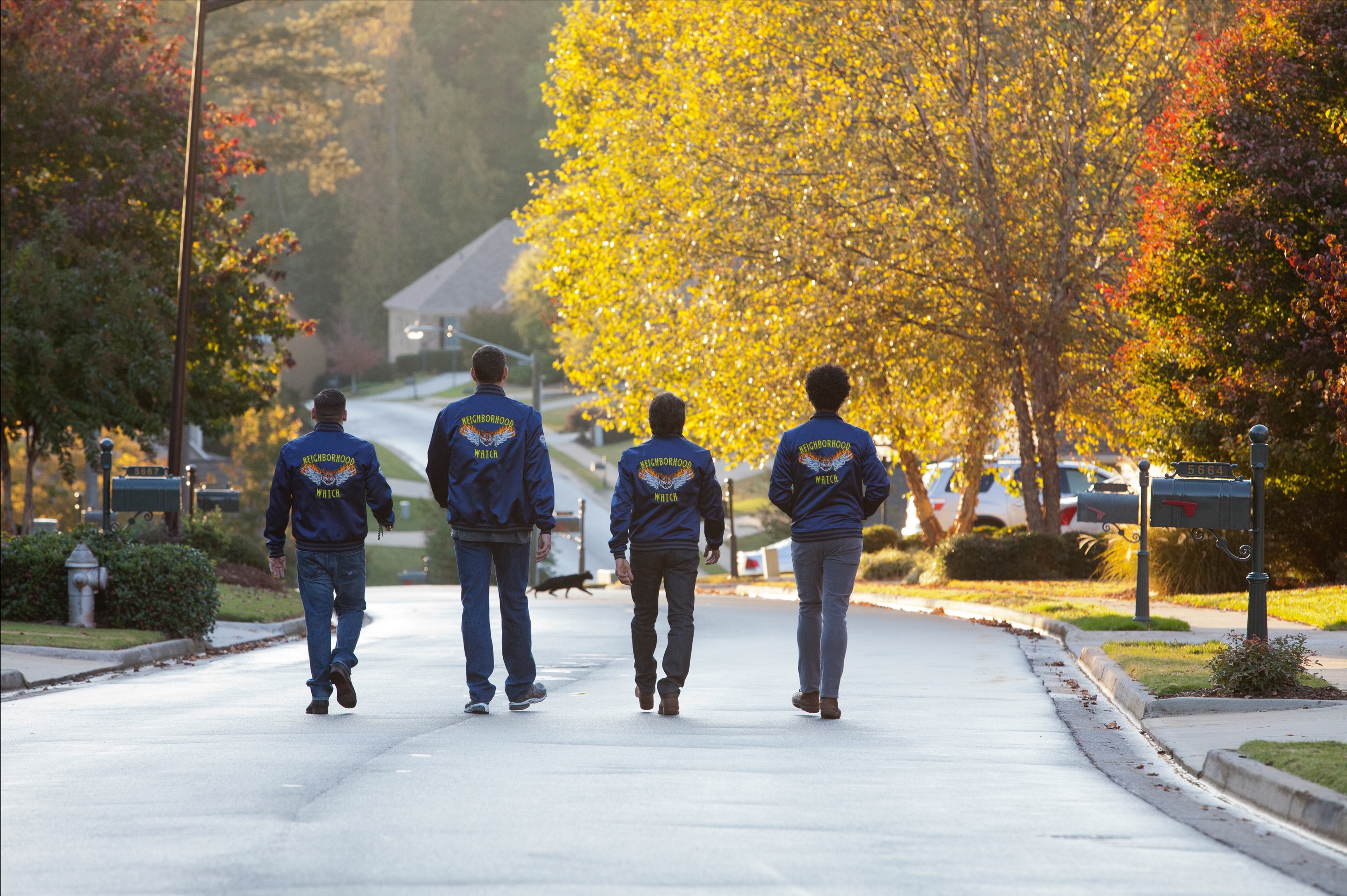 新邻里联防剧照的剧照
