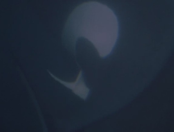 人鱼的童话3剧照的剧照