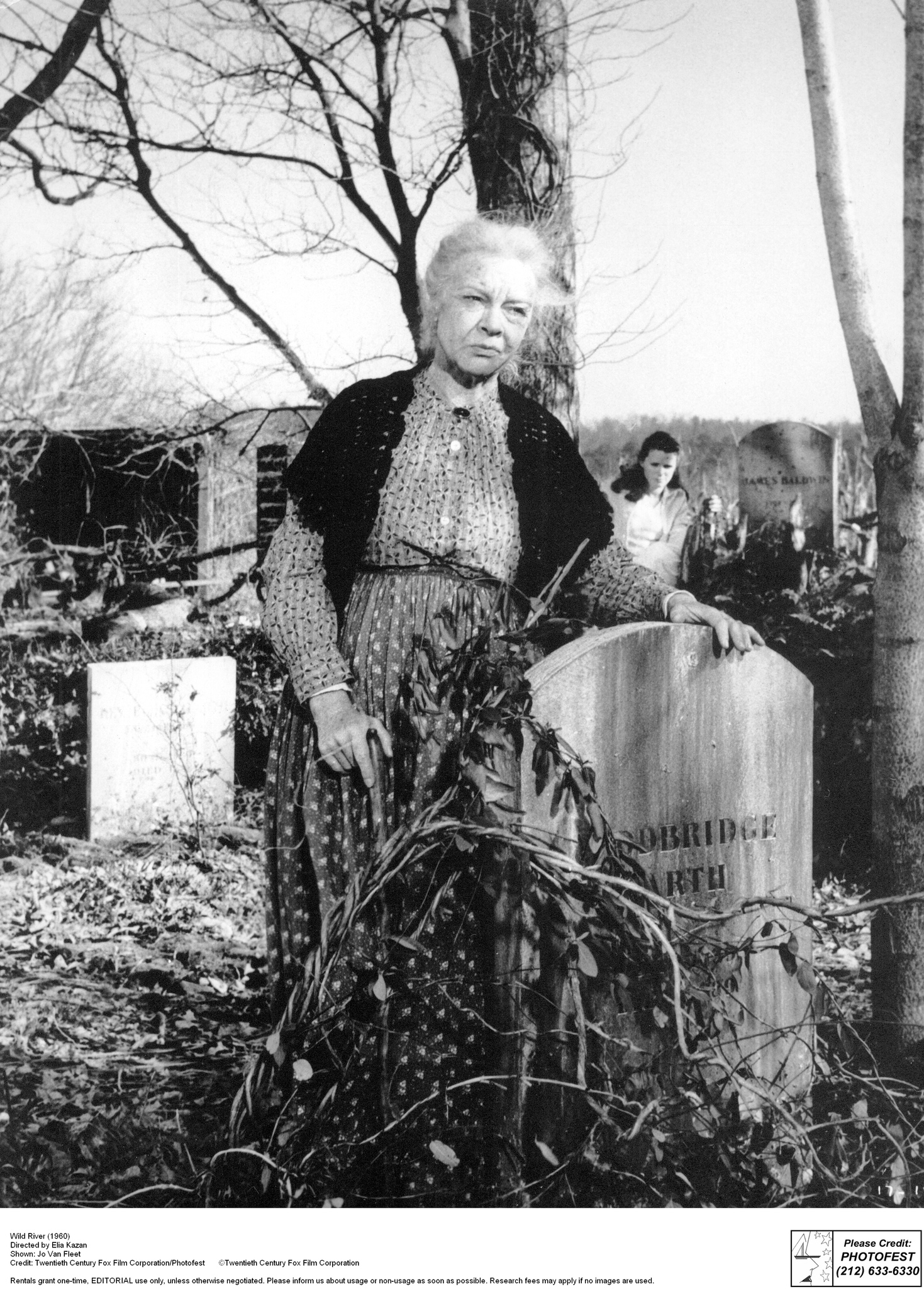 狂澜春醒剧照的剧照