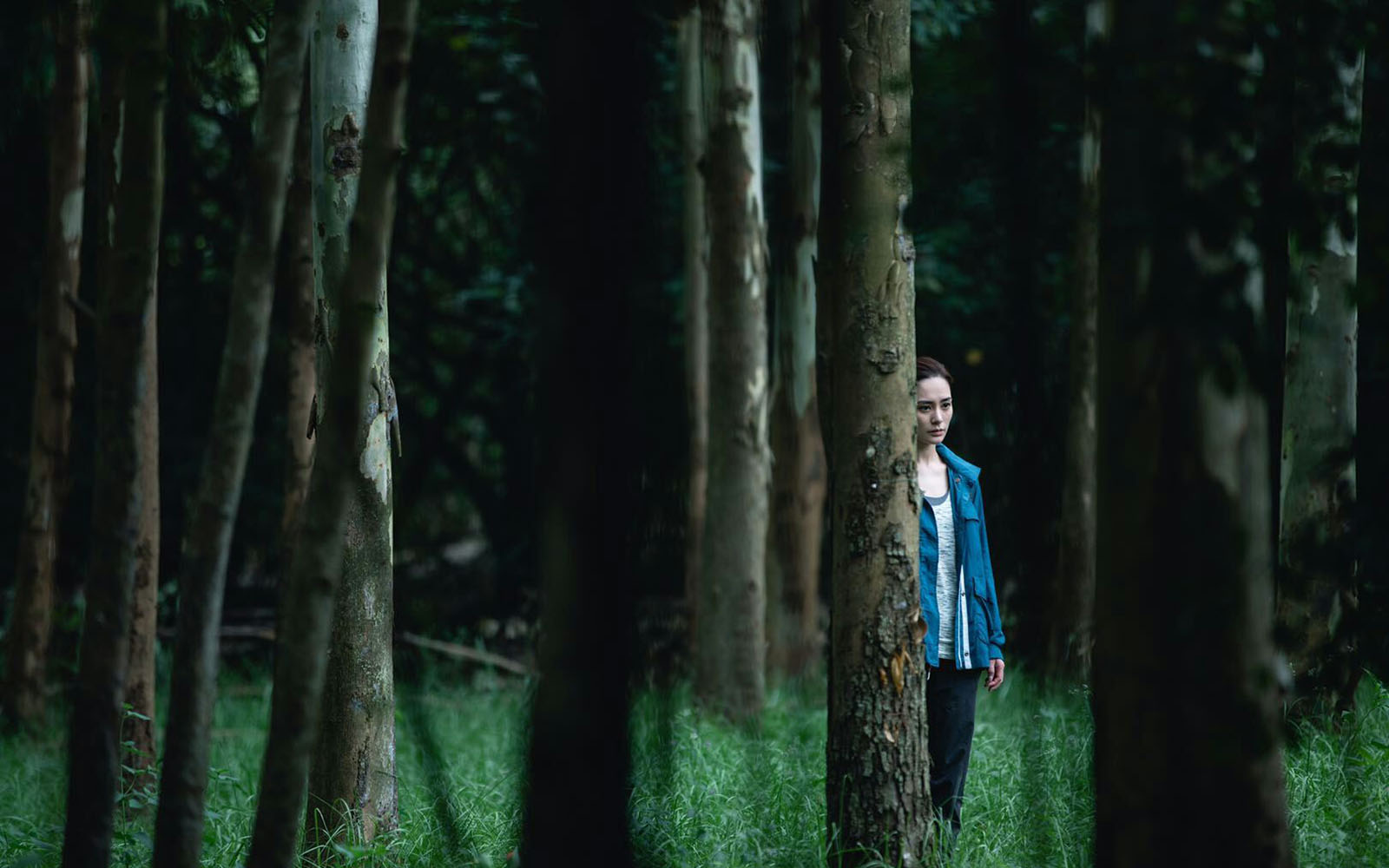 失踪剧照的剧照