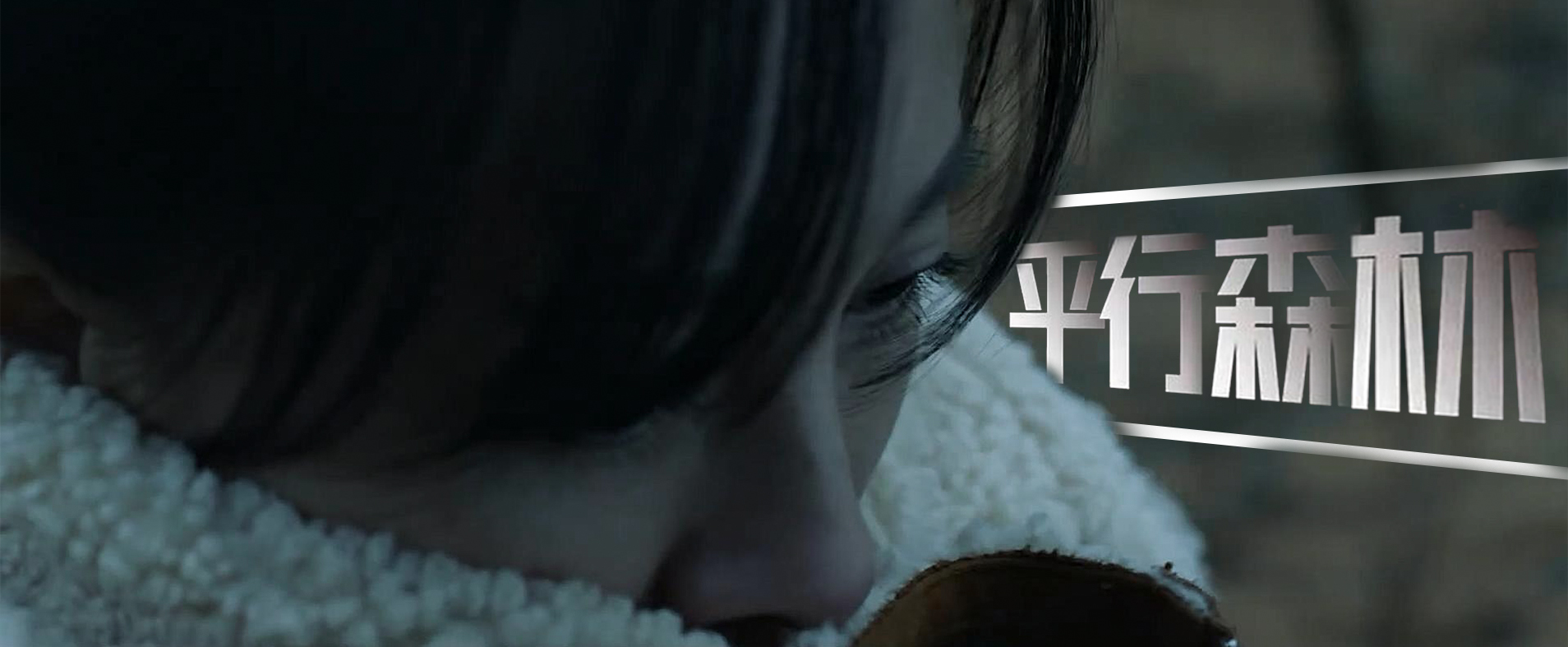 平行森林剧照的剧照