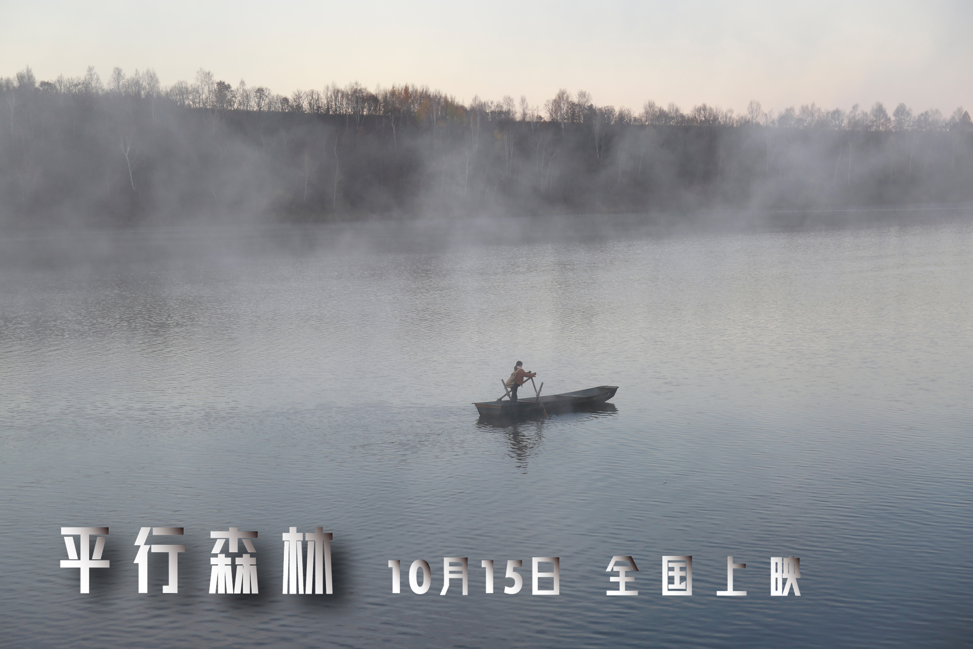 平行森林剧照的剧照