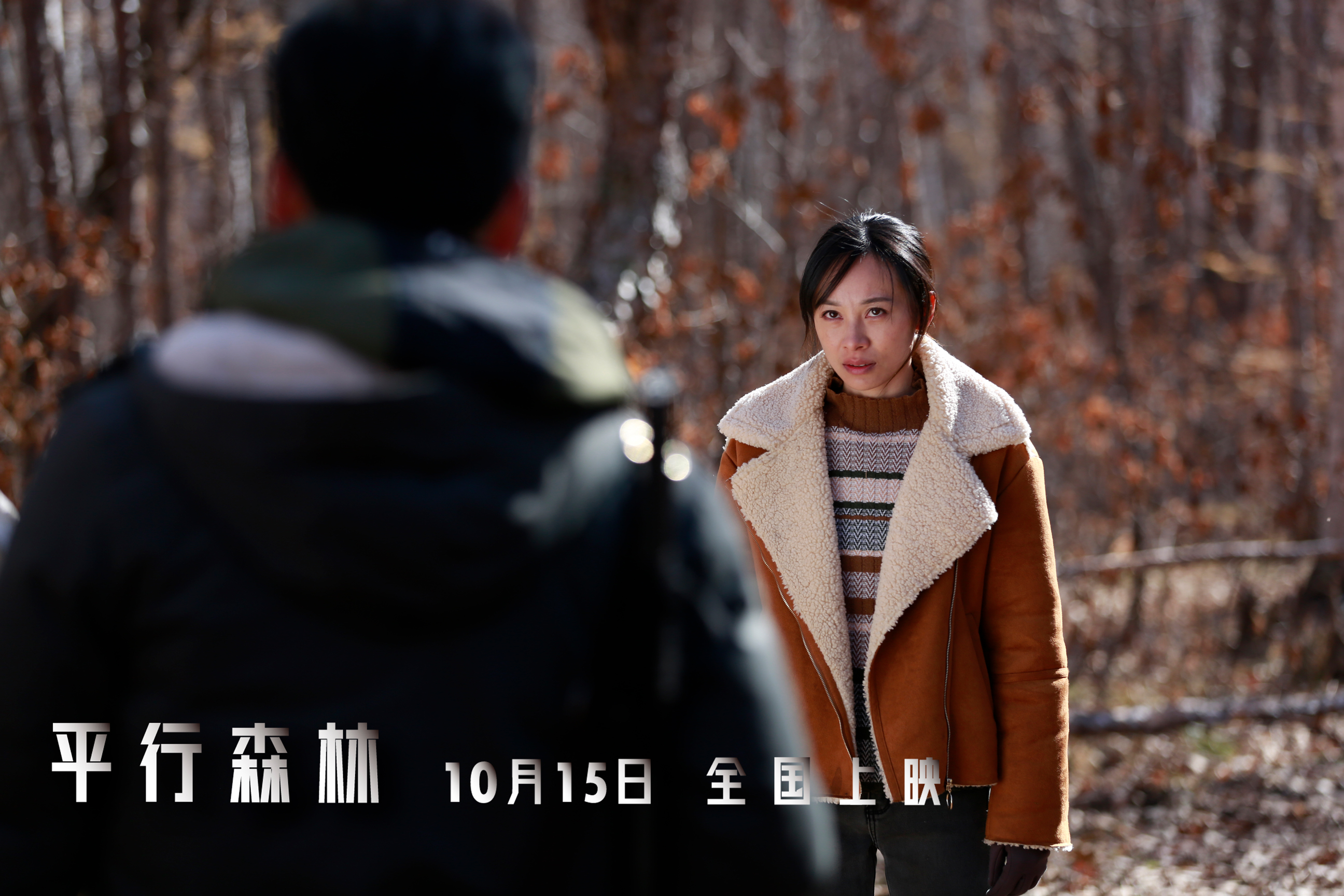 平行森林剧照的剧照