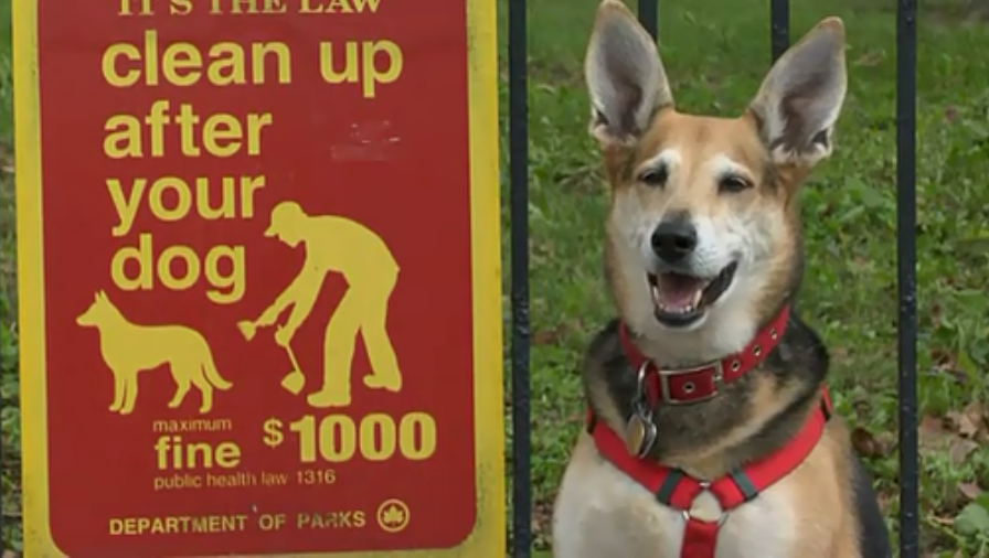 传奇字体剧照的剧照