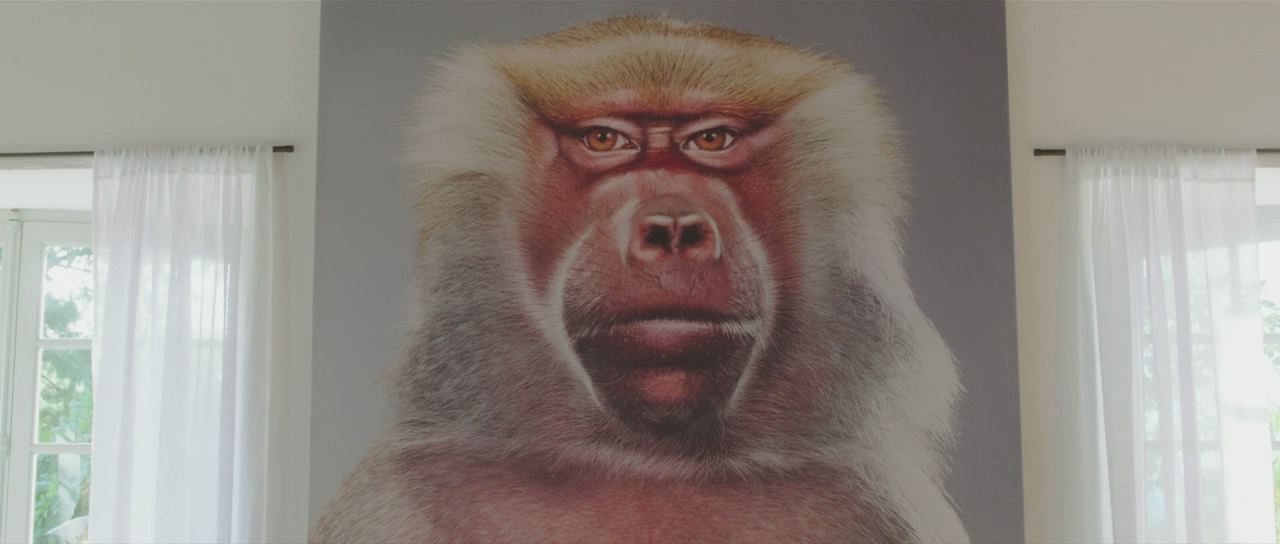 唐·海明威剧照的剧照