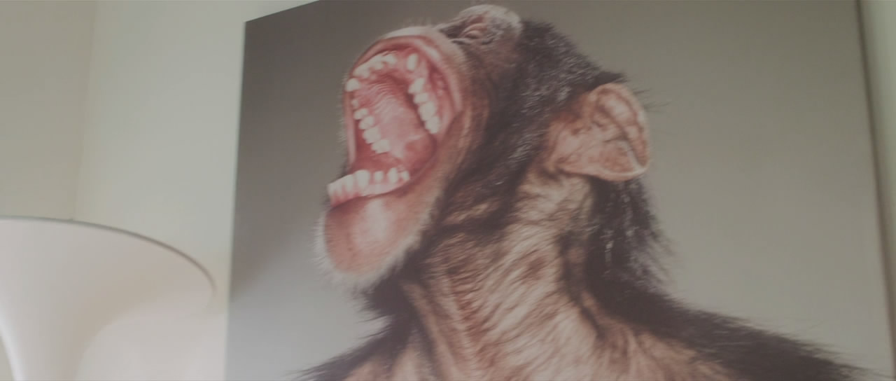 唐·海明威剧照的剧照