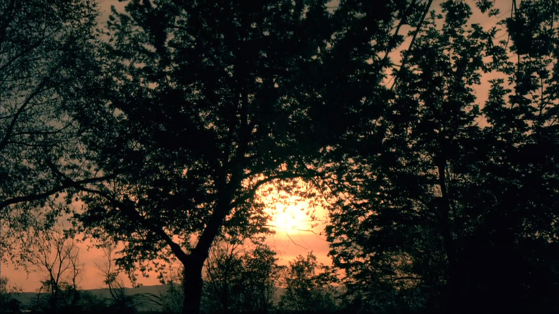 恐惧之家剧照的剧照