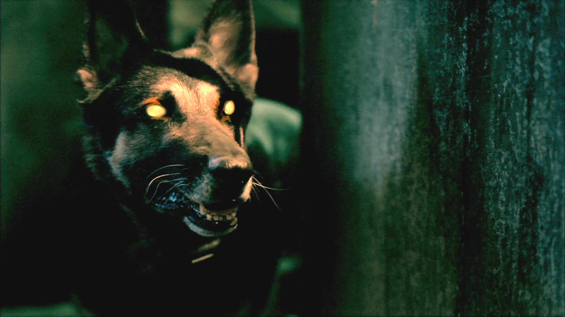 恐惧之家剧照的剧照