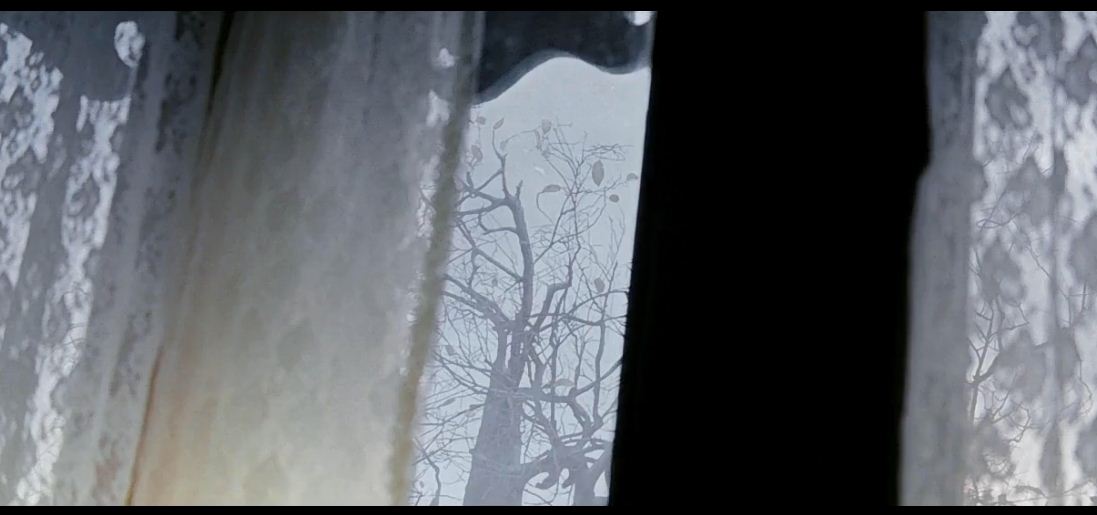 剪不断的爱剧照的剧照