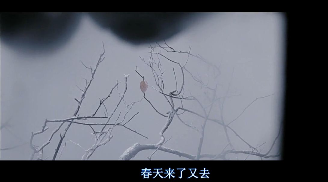 剪不断的爱剧照的剧照