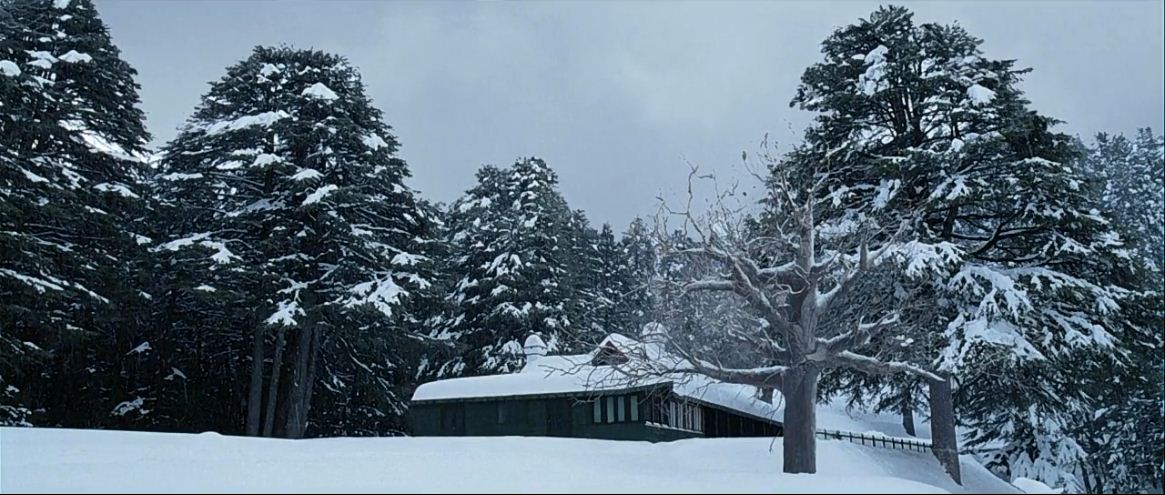 剪不断的爱剧照的剧照