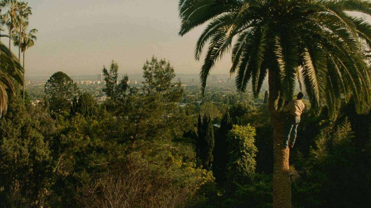 更好的生活剧照的剧照