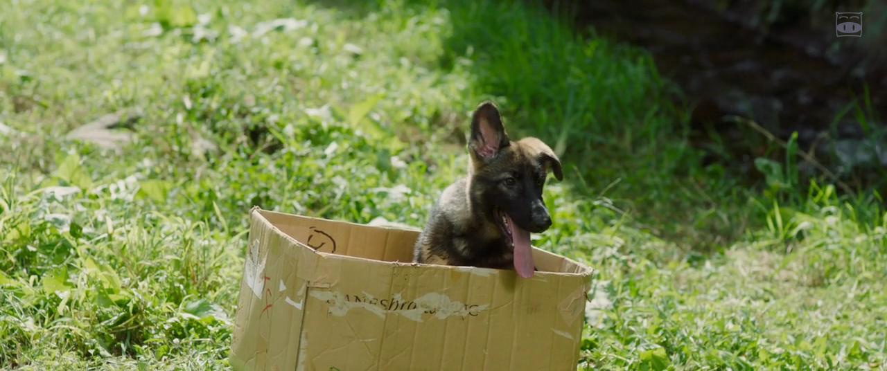 乐园剧照的剧照