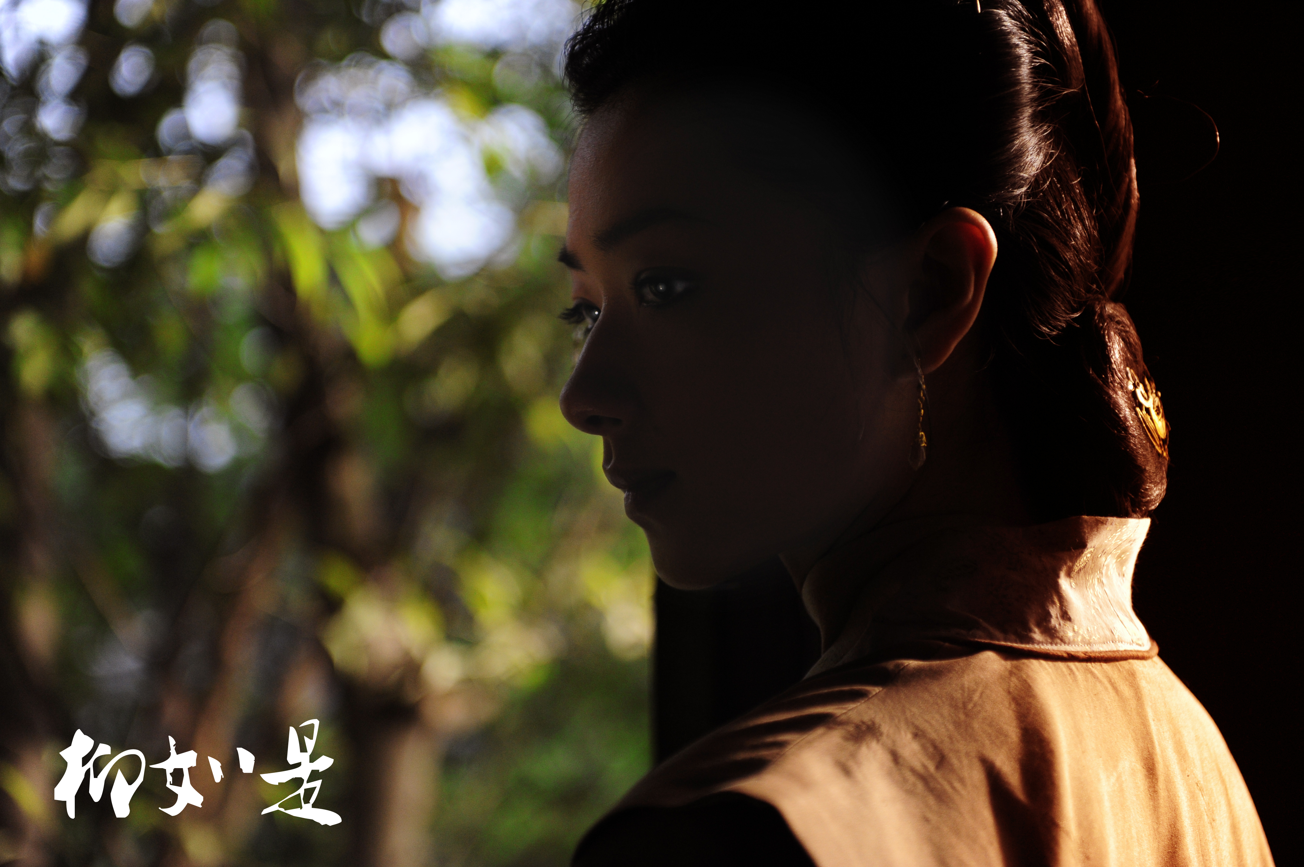 柳如是剧照的剧照