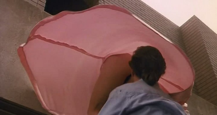 轰天俏娇娃剧照的剧照