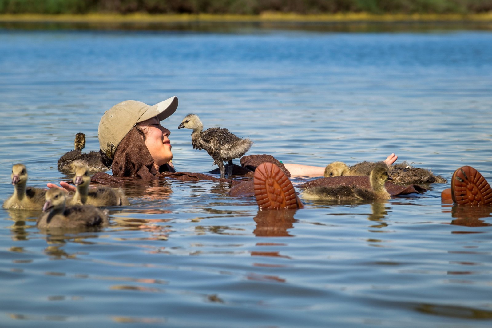 给我翅膀剧照的剧照