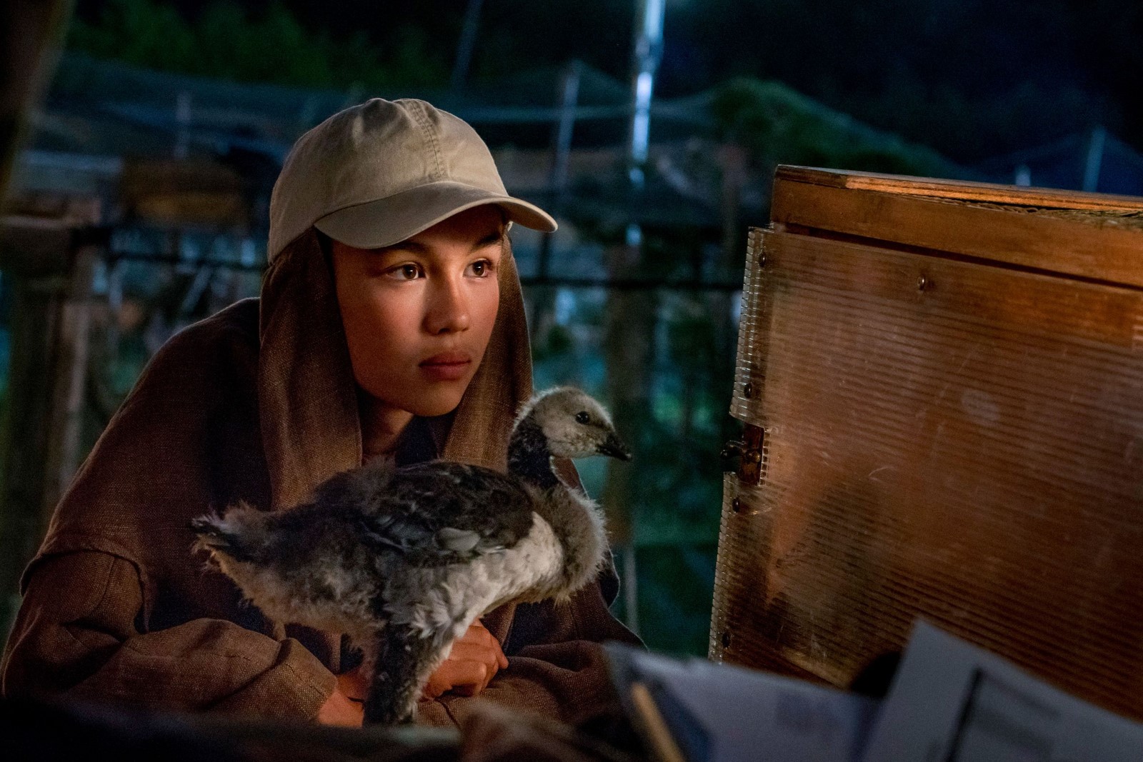 给我翅膀剧照的剧照