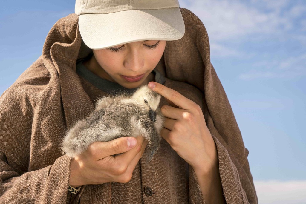 给我翅膀剧照的剧照