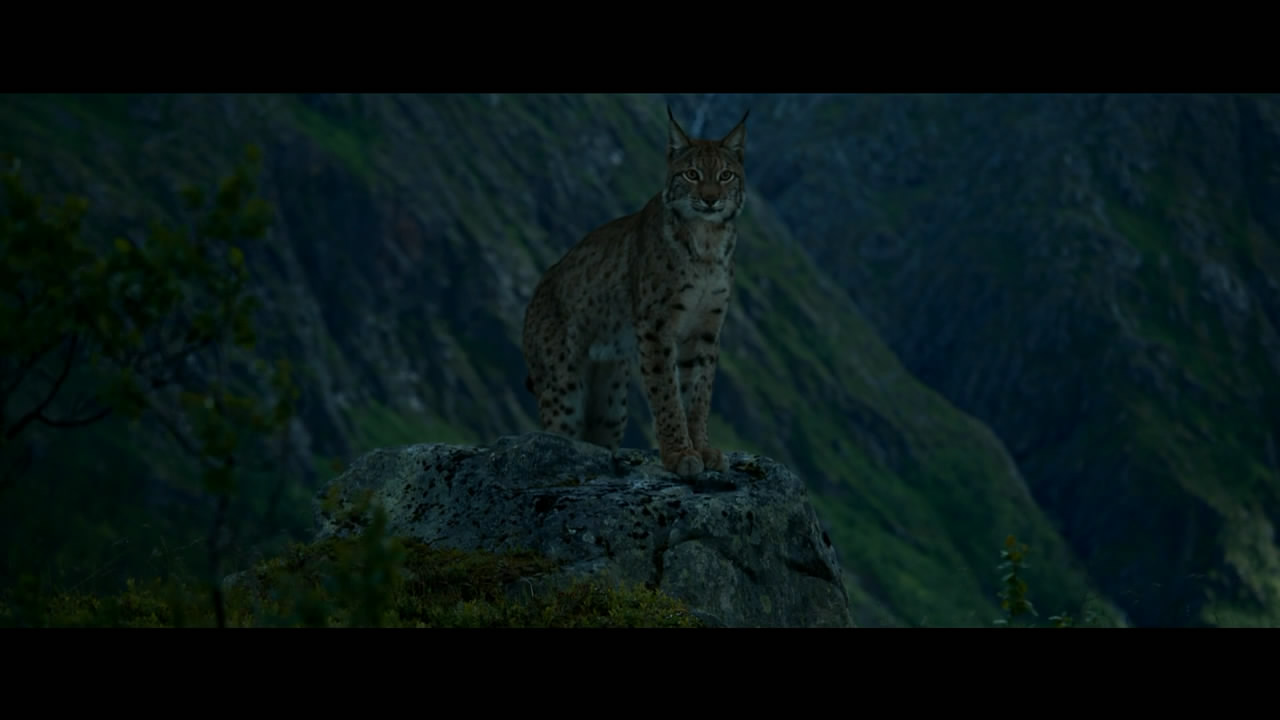 给我翅膀剧照的剧照