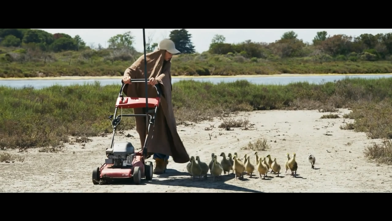 给我翅膀剧照的剧照