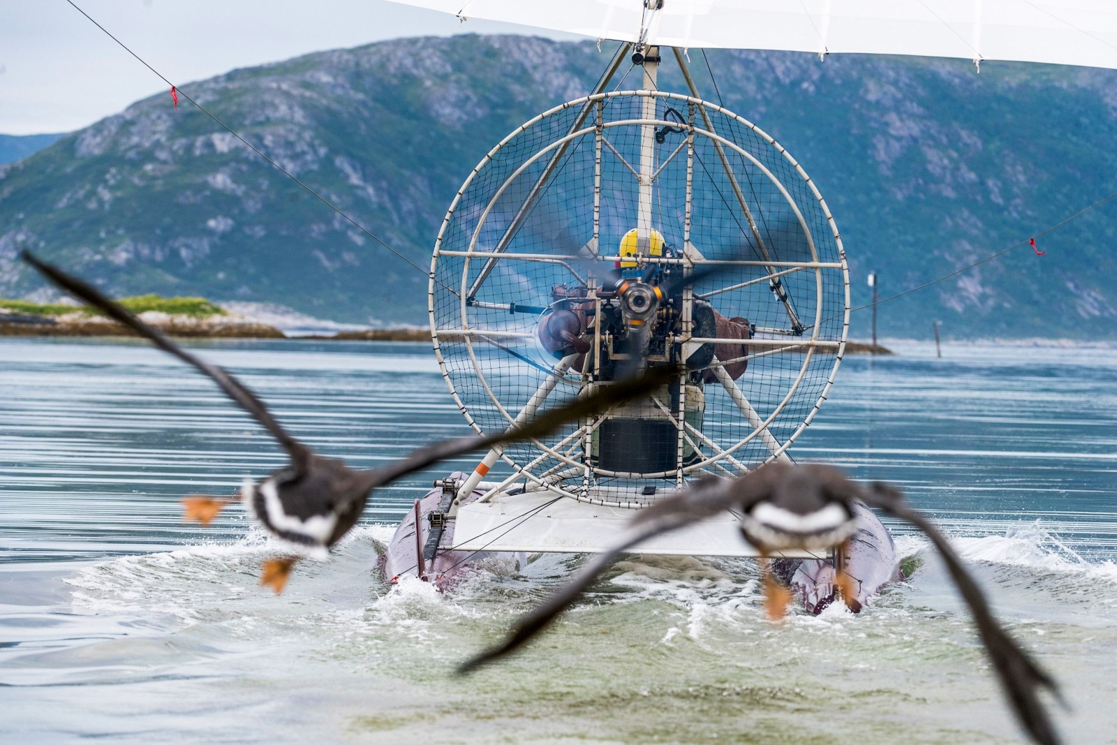 给我翅膀剧照的剧照