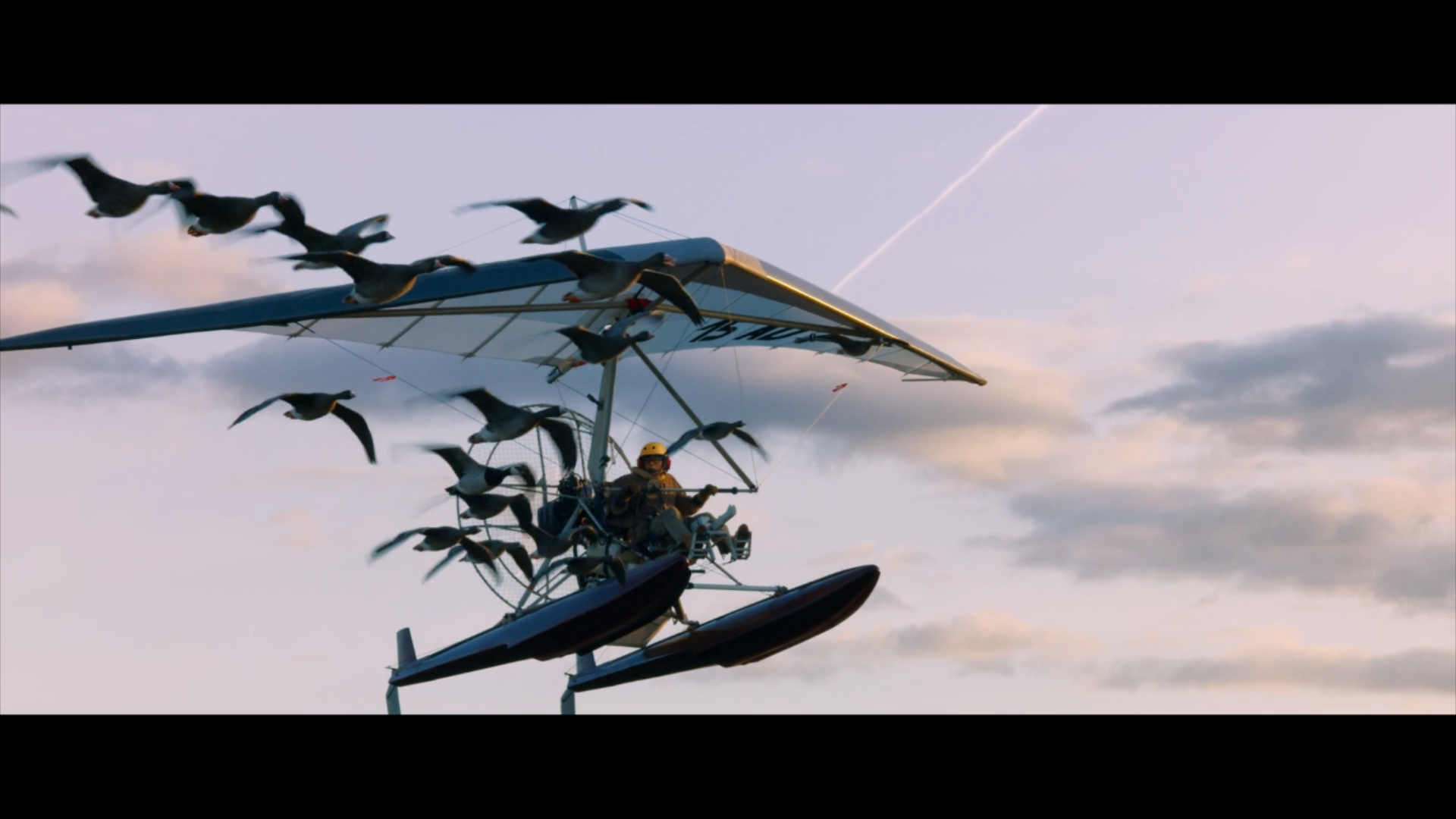 给我翅膀剧照的剧照