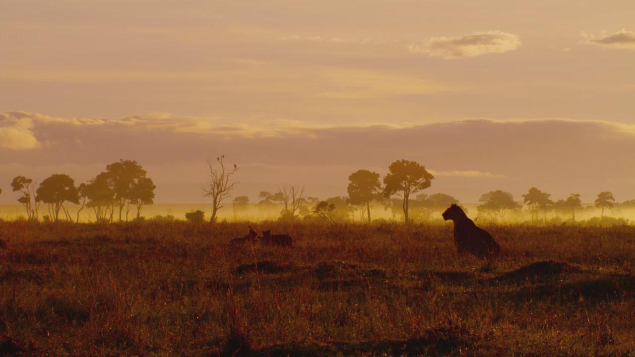 魔法王国剧照的剧照