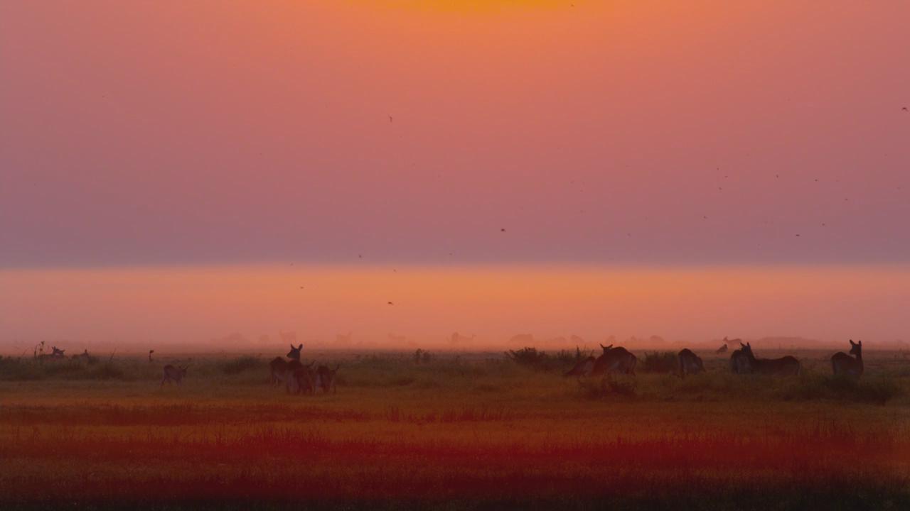 魔法王国剧照的剧照