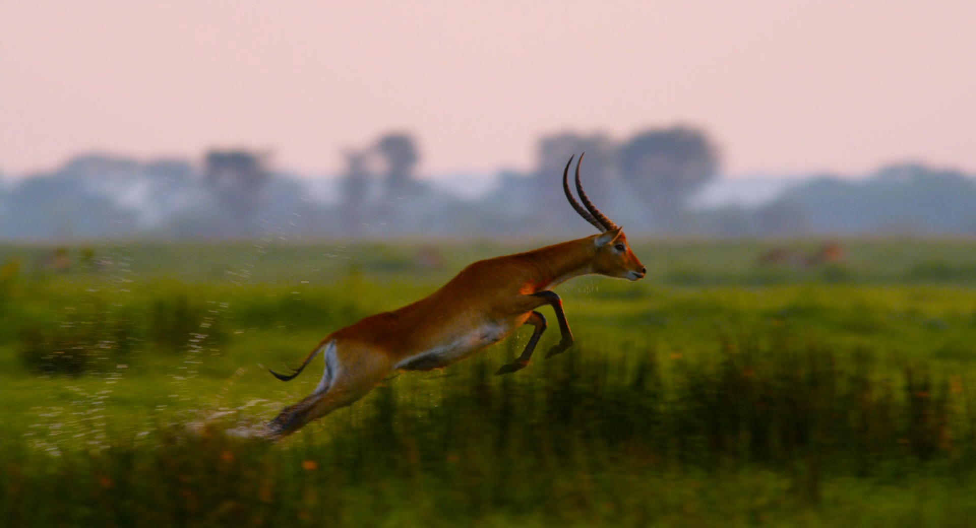 魔法王国剧照的剧照